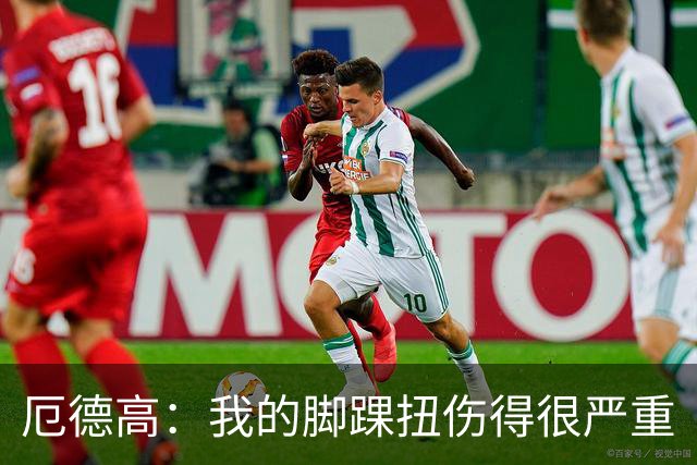厄德高：我的脚踝扭伤得很严重